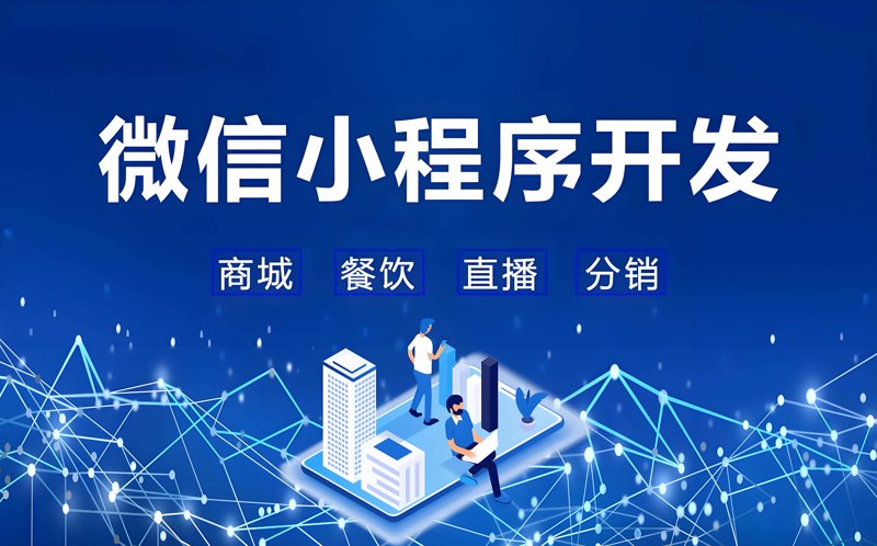 在选择软件开发合作伙伴时，你会如何做出决定？今天就让我们一起看看不同类型的软件开发公司有哪些优缺点吧！